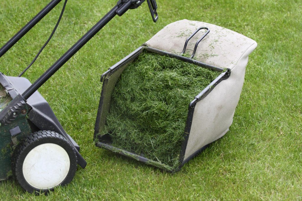 Bayside Mowing - Lawn Care Service 1 lawn mowing brisbane
