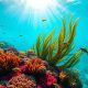 Underwater Wonders: Explore Belize’s Marvels Beneath