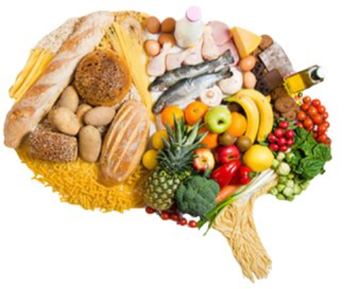 Best Brain Health Foods to Combat Cognitive Decline