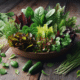 Summer Salad Preparation: A Fresh and Vibrant Guide