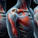 Acupuncture for Frozen Shoulder Relief Techniques