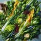 Salad Recipes for Tasty and Refreshing Meals