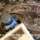 Victorian Tiles Restoration: A Complete Guide for You