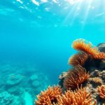 Belize Barrier Reef Snorkeling: Best Sites and Wildlife