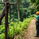 Canopy Tours: Discover Exciting Zip Lining in Belize