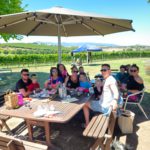 Yarrawood Estate: Your Ideal Wine Adventure Awaits