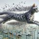 Egyptian Mau Speed Training for Enhanced Agility Skills