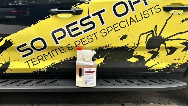 Termite Reticulation Costs and Maintenance in Sydney