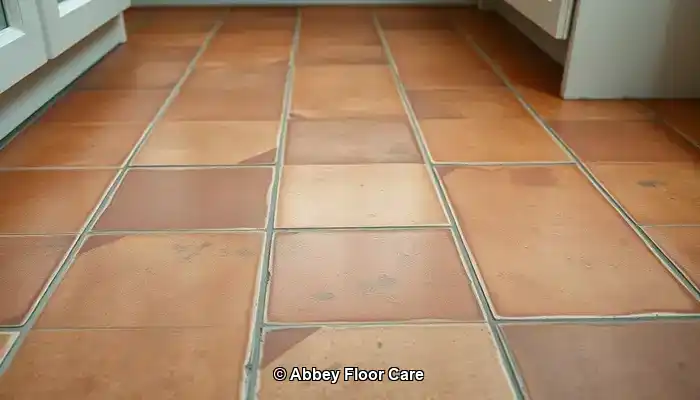Understanding Factors That Contribute to Rapid Dirt Build-Up on Terracotta Floors