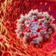 Ferritin Blood Test: Key Health Insights for Bootle Residents