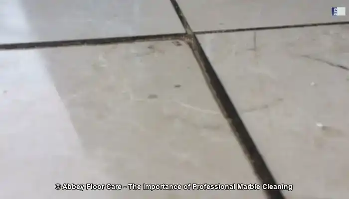 Marble Cleaner Services in Toryglen: Expert Help Available