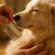 Flea Combing Routines: Essential Tips for Your Pet’s Care