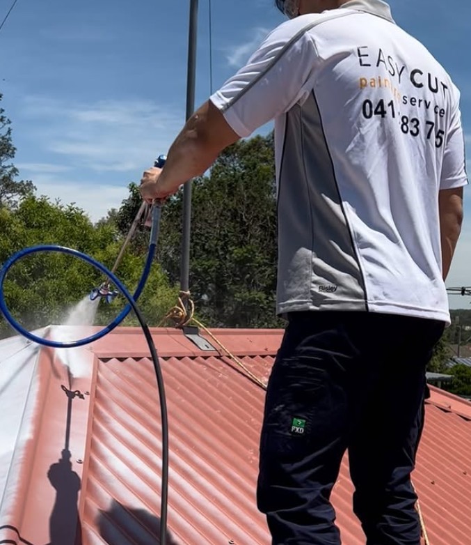 Metal Roof Painting Tips from a Hills District Painter