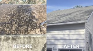 Unleash the Full Advantages of Soft Washing for Optimal Home Maintenance