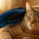 Grooming Gloves: Your Cat’s Best Fur Care Solution