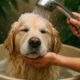 Pet Bath Water Conservation Tips for Every Household
