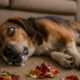 Seizure Management for Pets: Top Home Remedies That Work