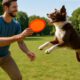 Dog Training: Frisbee Throwing Techniques You Need!