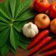 Cassava Leaf Stew: Nutritious Recipes for Family Meals