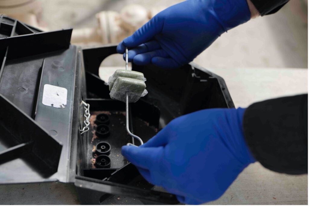 Rat Bait Laws in Australia: Important Updates You Should Know