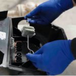 Rat Bait Laws in Australia: Important Updates You Should Know