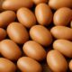 Ogiri Fermented Locust Bean: Simple Tips for Homemade Recipes