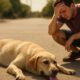 Heat Exhaustion Treatment for Pets: Essential Recovery Tips
