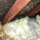 Asbestos Concerns: Essential Skip Bin Selection Tips