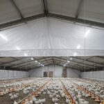 Custom Textile Systems for Poultry and Agricultural Needs