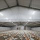 Custom Textile Systems for Poultry and Agricultural Needs