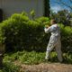 Green Waste Solutions: 4 Effective Ways to Dispose of It