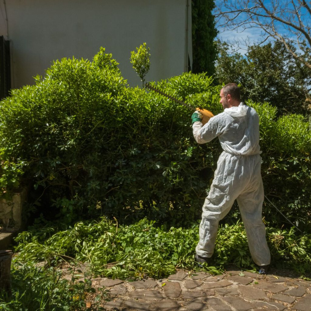 Green Waste Solutions: Top 4 Efficient Disposal Methods