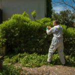 Green Waste Solutions: Top 4 Efficient Disposal Methods