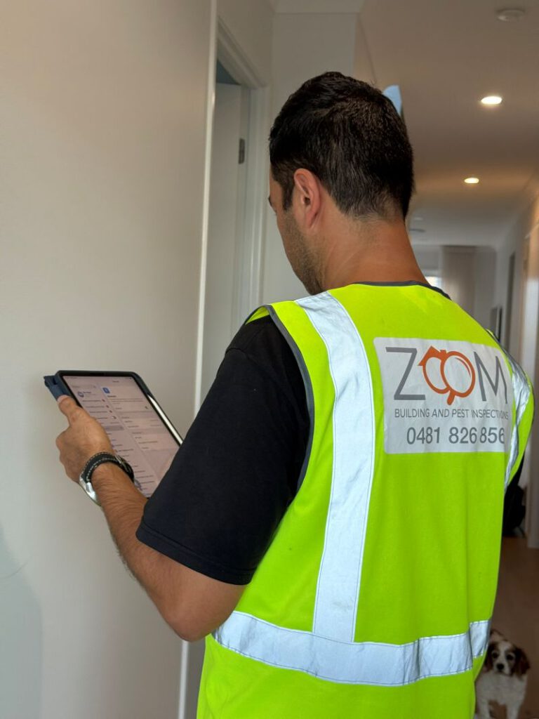 Building and Pest Inspection Differences in Brisbane Explained