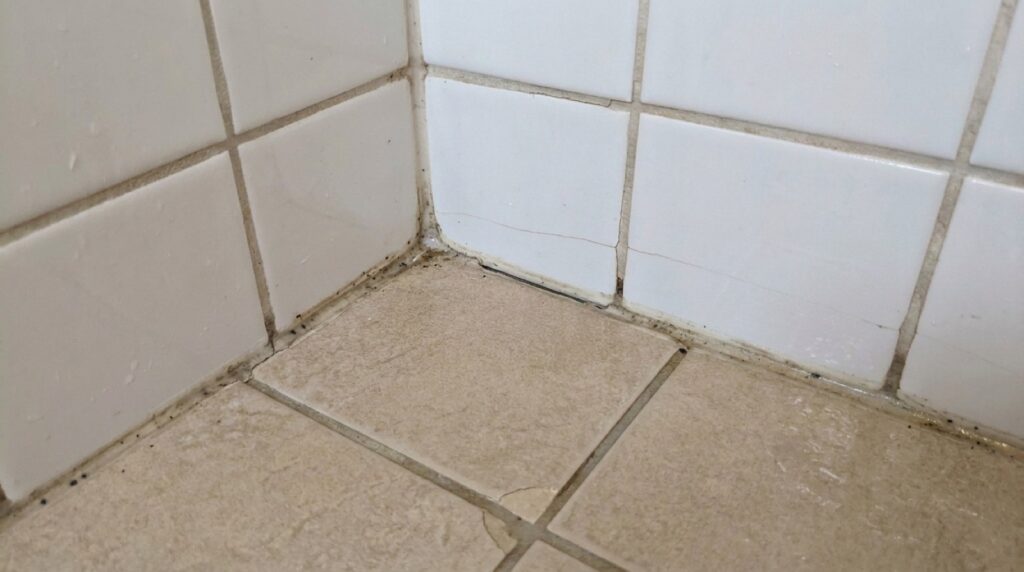 Shower Reseal: Effective Solution or Temporary Fix?