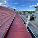 Colourbond vs Polycarbonate Pergola Roof Replacement Guide