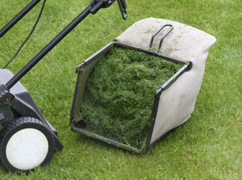 lawn mowing brisbane