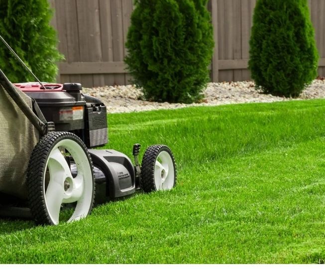 About Our Lawn Mowing Team | Bayside Mowing